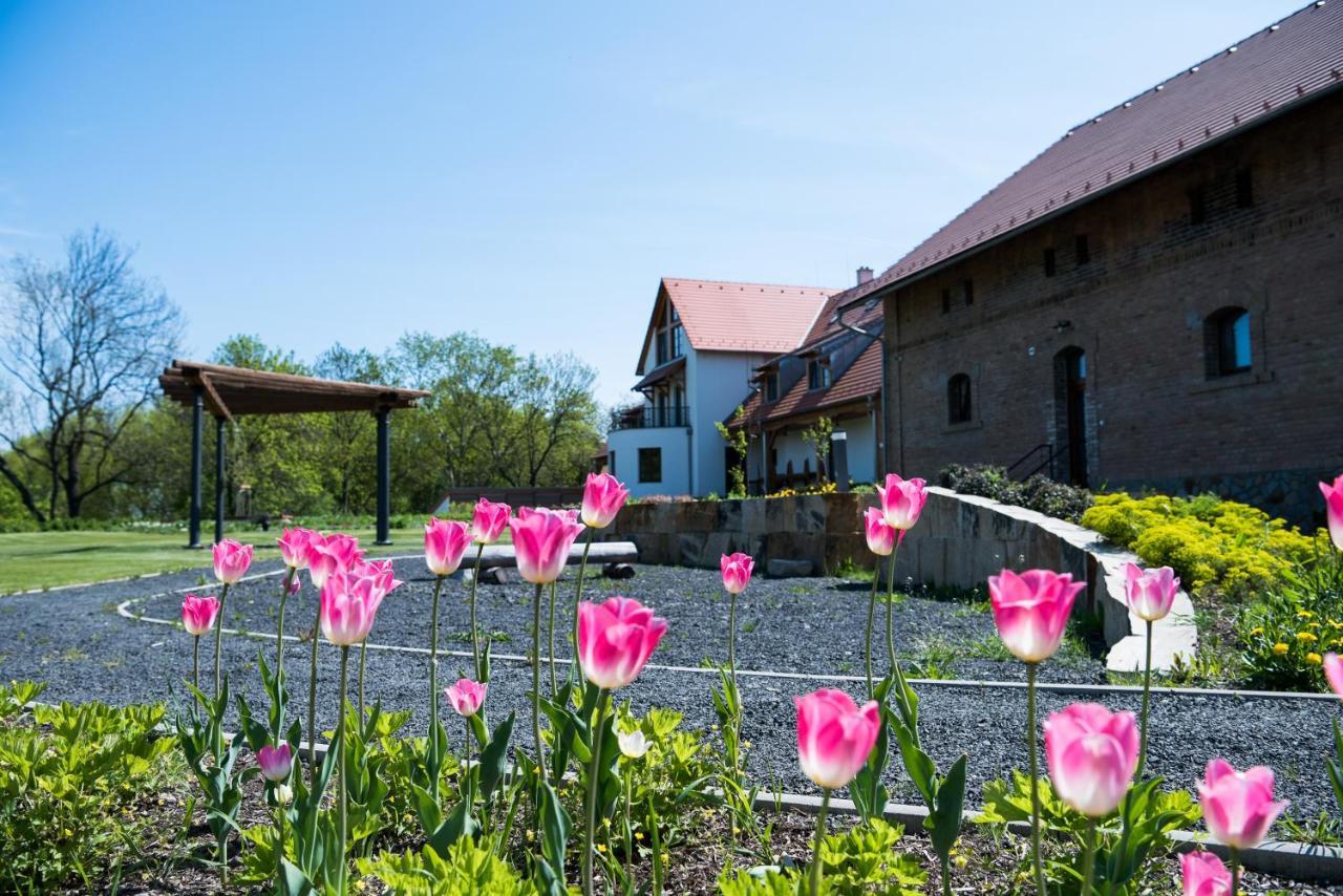 Dvůr Perlová voda Budyne nad Ohri Esterno foto